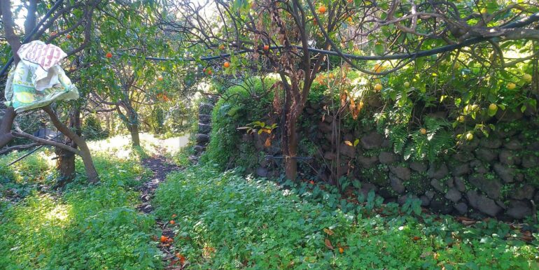 2026012193635-1018854-1