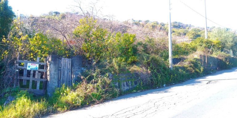 2026012193641-1018854-2