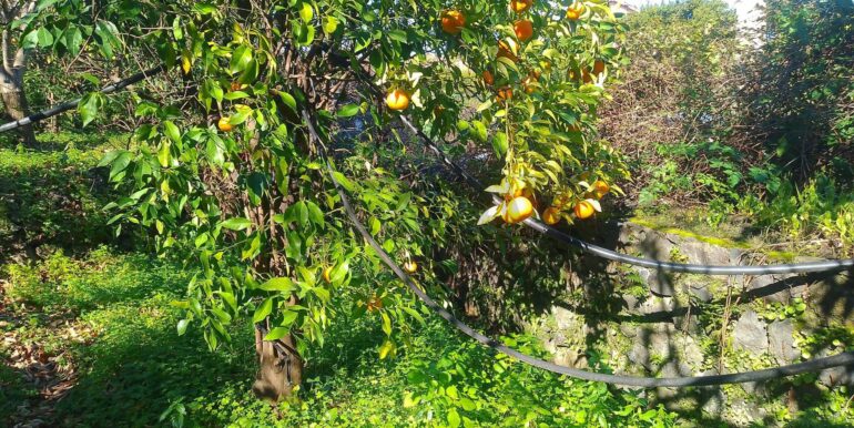 2026012193648-1018854-3