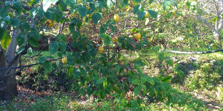 2026012193655-1018854-4