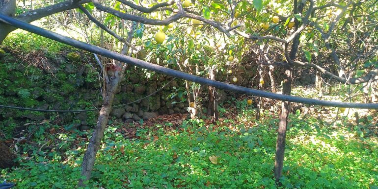 2026012193701-1018854-5