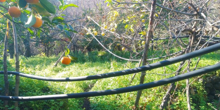 2026012193708-1018854-6