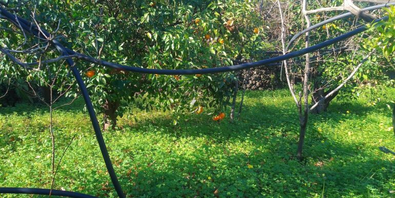 2026012193715-1018854-7