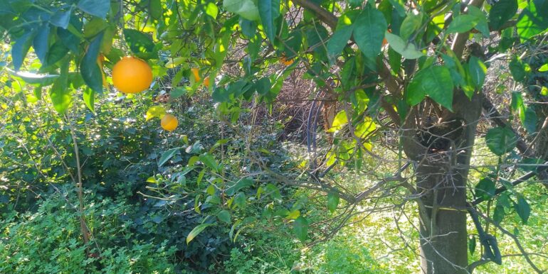 2026012193729-1018854-9