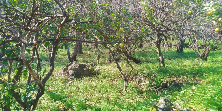 2026012193736-1018854-10