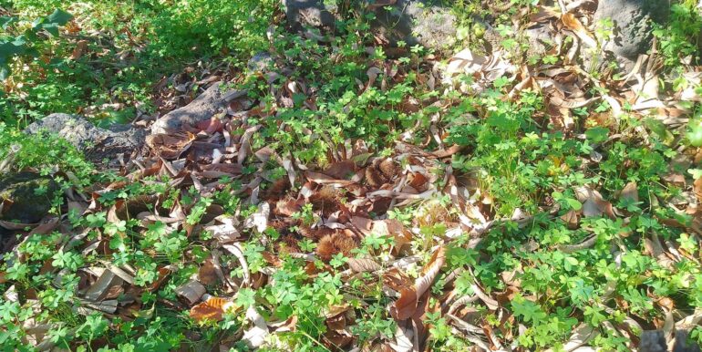 2026012193743-1018854-11