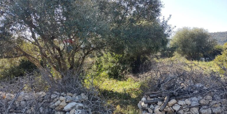 2026012193826-1018856-0