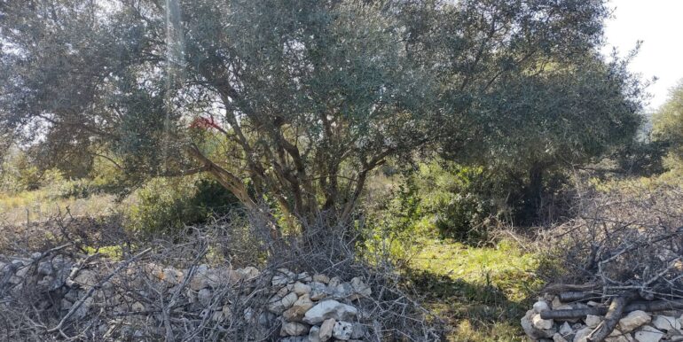 2026012193827-1018856-1