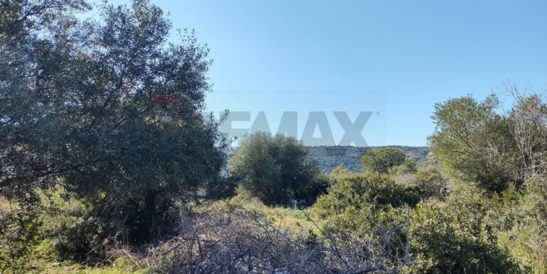 2026012193827-1018856-2