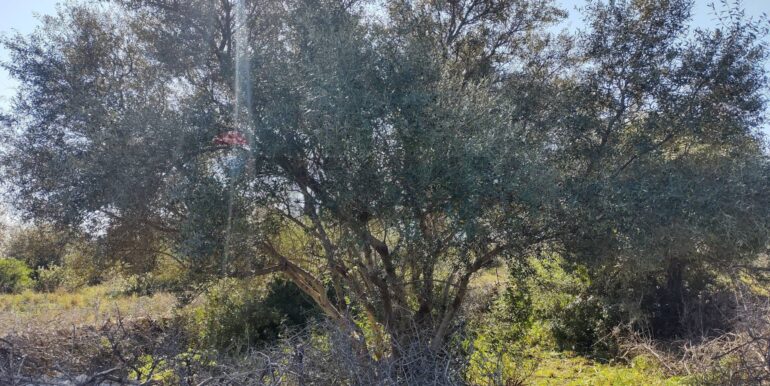 2026012193828-1018856-3