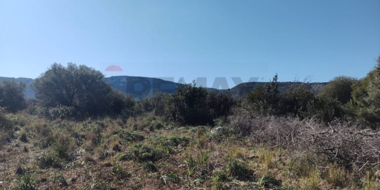 2026012193828-1018856-4