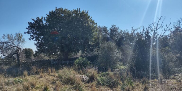 2026012193829-1018856-5