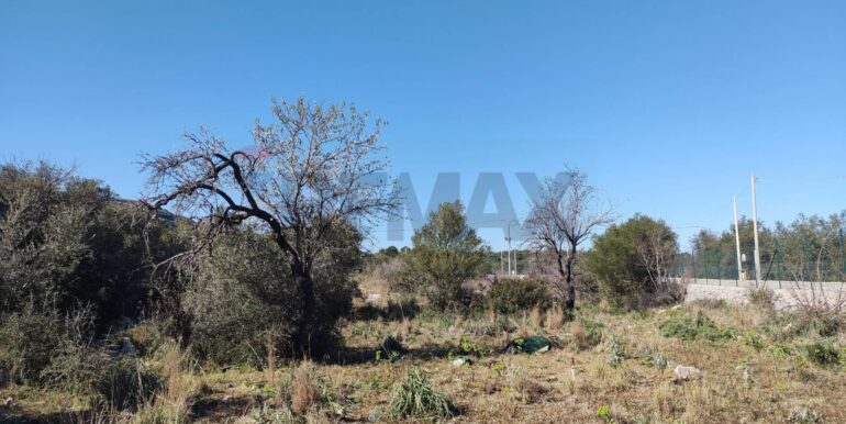 2026012193829-1018856-6