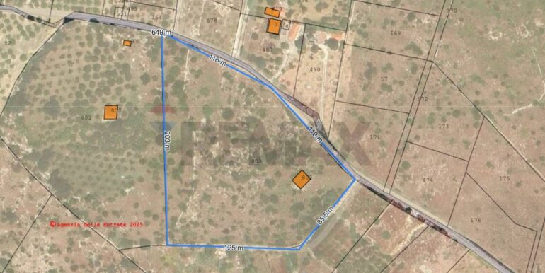 2026012193830-1018856-10