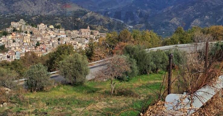 20260122173641-1019225-4