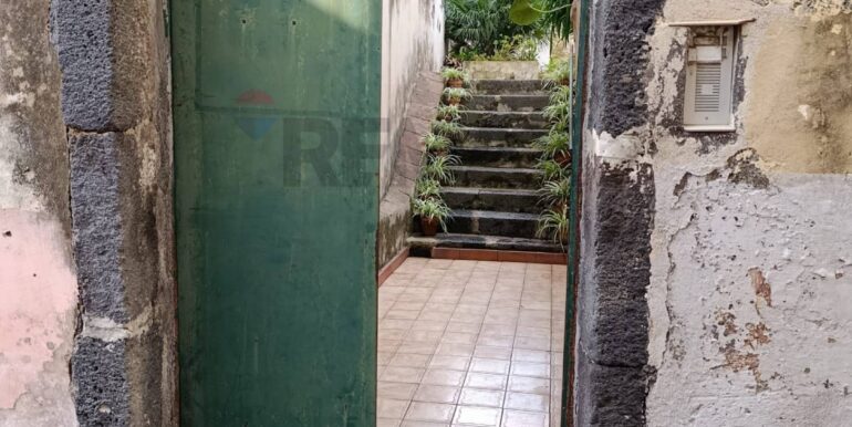 20260123105300-1019278-55