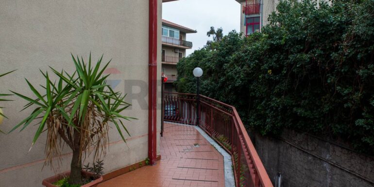 20260123120300-1019358-6