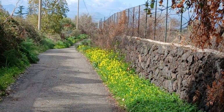 20260123142905-1014290-2