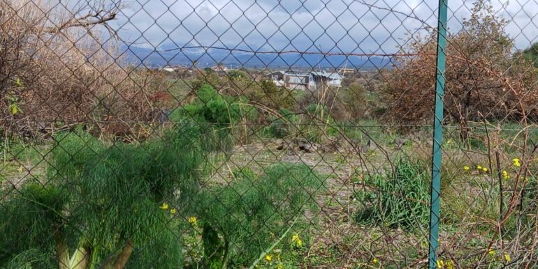 20260123142909-1014290-3