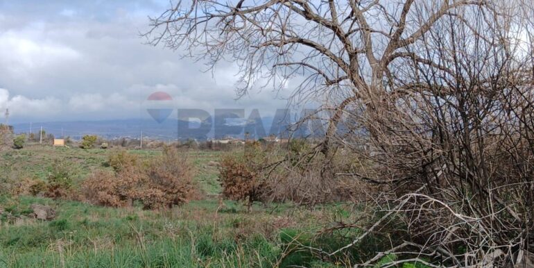 20260123142912-1014290-4