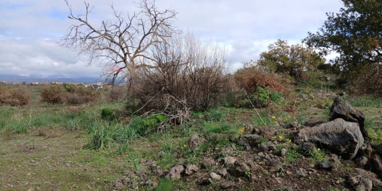 20260123142922-1014290-6