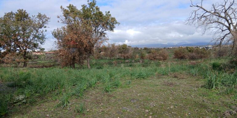 20260123142927-1014290-7