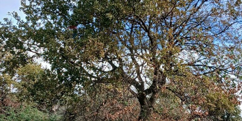 20260123143614-1018390-1