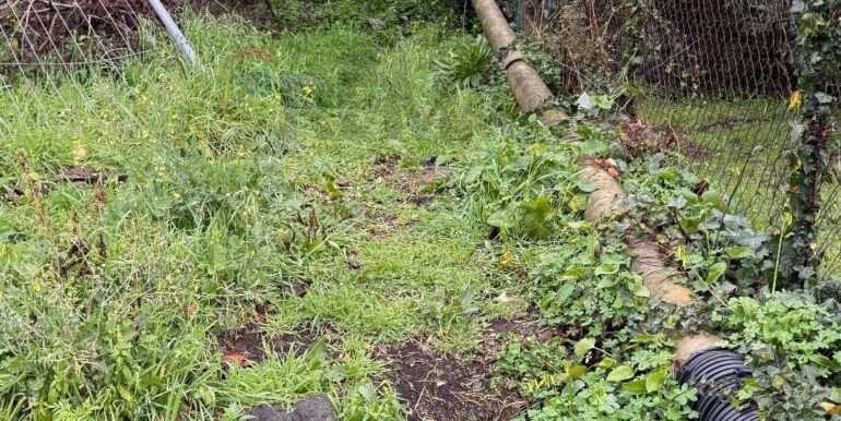 20260123174247-998807-1