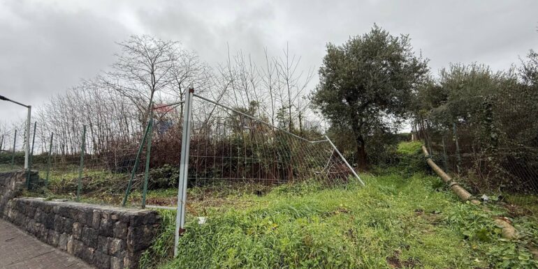 20260123174252-998807-2