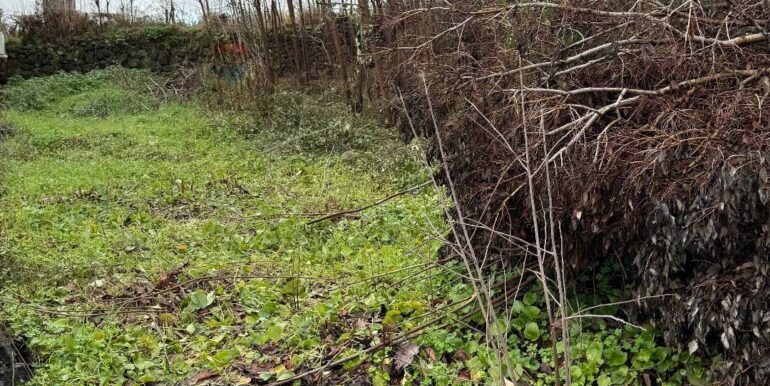 20260123174257-998807-3