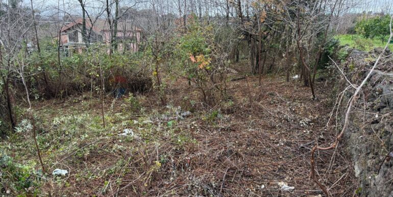 20260123174302-998807-4