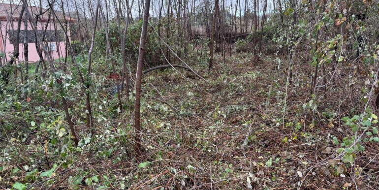 20260123174307-998807-5