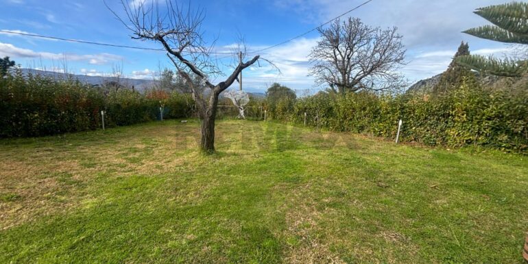 20260123223641-1019527-1