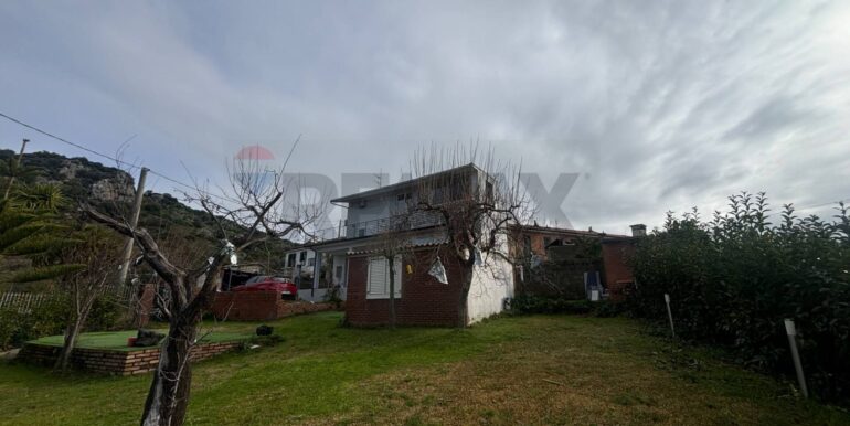 20260123223707-1019527-2