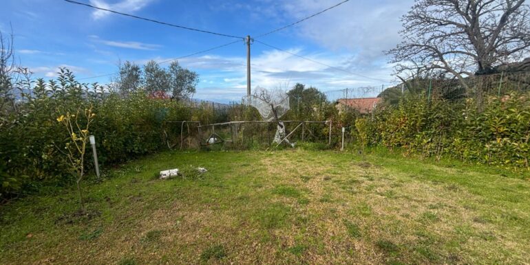 20260123223735-1019527-3