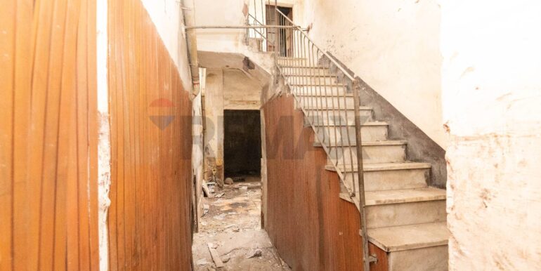 20260124121339-1019559-1