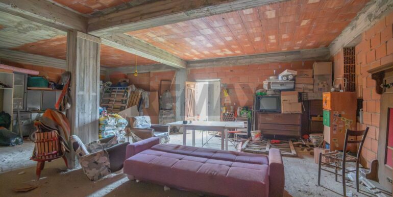 20260126104407-1014416-2