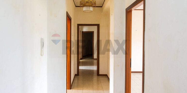 20260126104833-1019664-6