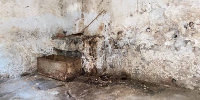 20260126105025-1019663-5