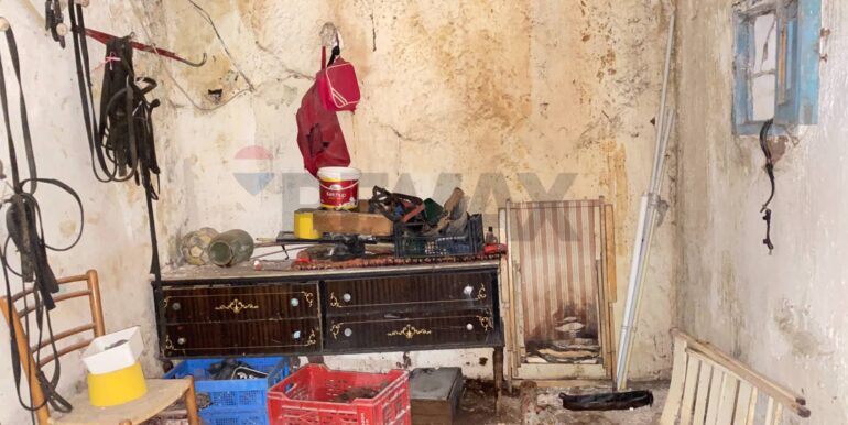 20260126105033-1019663-7