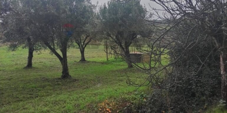 20260126123452-1019703-1