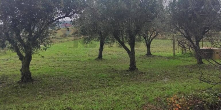 20260126123456-1019703-2