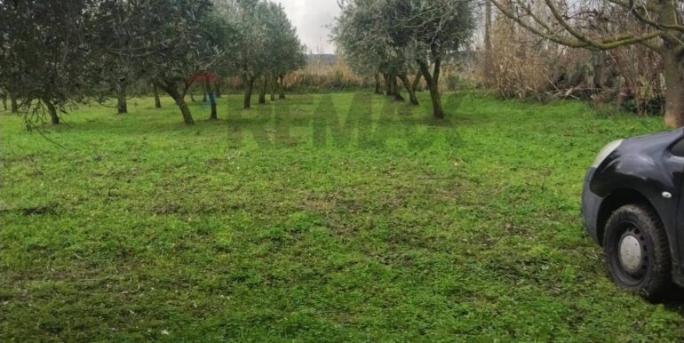 20260126123500-1019703-4