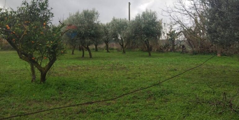 20260126123506-1019703-6