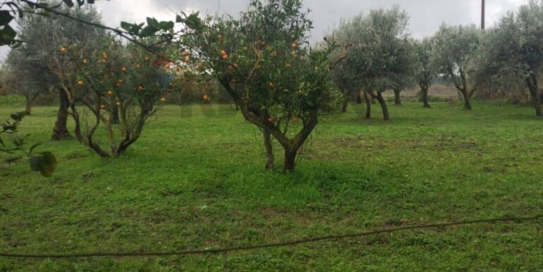 20260126123508-1019703-7