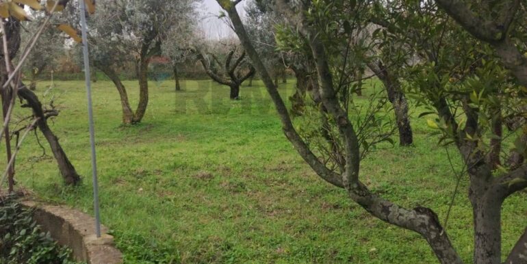 20260126123511-1019703-8