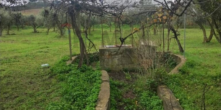 20260126123513-1019703-9