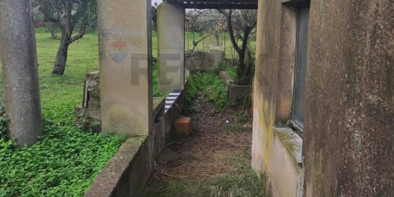 20260126123516-1019703-10