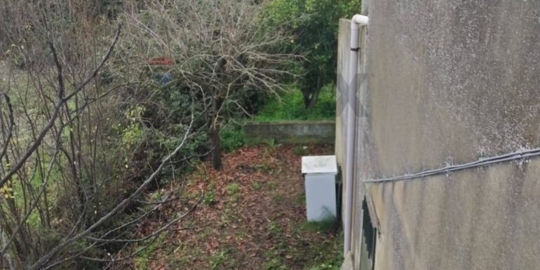 20260126123519-1019703-11