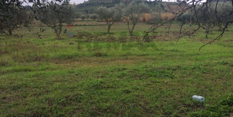 20260126123522-1019703-12